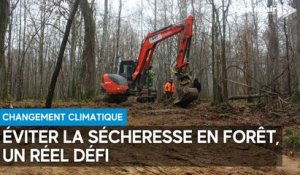 Environnement : garder l’eau en forêt, un défi face au réchauffement climatique