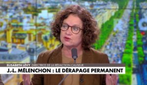 Elisabeth Lévy : «Mélenchon est dans la stratégie», dans #HDPros