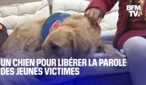 Pédocriminalité: Rumba, la chienne qui aide à recueillir la parole des jeunes victimes à la gendarmerie de Vannes