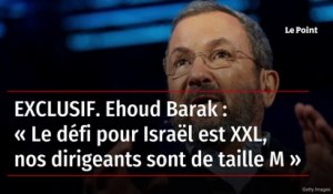 EXCLUSIF. Ehoud Barak : « Le défi pour Israël est XXL, nos dirigeants sont de taille M »