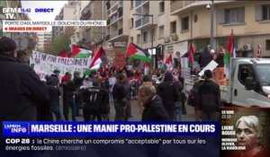 Marseille: des manifestants rassemblés ce samedi pour exprimer leur soutien au peuple palestinien