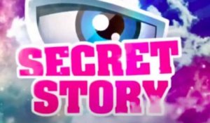 La Voix fait une annonce sensationnelle : Secret Story est de retour !