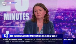 Projet de loi immigration: "On va démontrer qu'il n'y a pas de majorité pour ce texte", affirme Eva Sas (EELV)