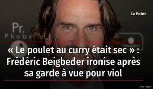 « Le poulet au curry était sec » : Frédéric Beigbeder ironise après sa garde à vue pour viol