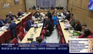 Audition à l'Assemblée nationale - Résultats de la COP28 : audition d'Agnès Pannier-Runacher - 20/12/2023