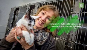 SPA Verviers : "Les gens sont beaucoup plus soucieux du bien-être animal"