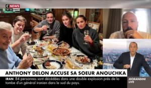 Dossier Alain Delon : Anthony Delon attaque sa soeur Anouchka en justice