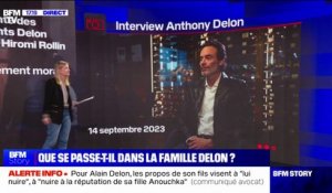 LES ÉCLAIREURS - Que se passe-t-il dans la famille Delon?