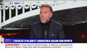 Alain Delon est "fatigué, atteint par l'âge et la maladie", affirme son avocat Me Christophe Ayela