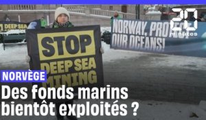 La Norvège autorise la prospection minière de ses fonds marins, ouvrant la voie à leur exploitation