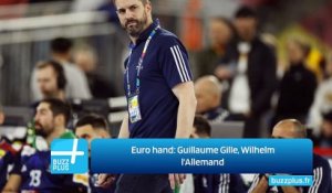 Euro hand: Guillaume Gille, Wilhelm l'Allemand