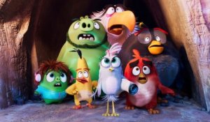 Angry Birds : copains comme cochons