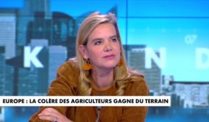 Gabrielle Cluzel : «La France est attachée à ses agriculteurs, d'où la crainte politique que ça s'étende»