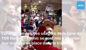 Serrés "comme des sardines", des usagers chantent dans le TER Nantes Pornic