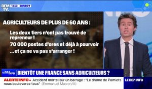 55% des exploitants agricoles a au moins 55 ans