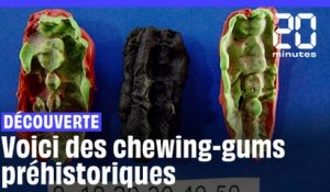 Suède : Les secrets de chewing-gums préhistoriques révélés