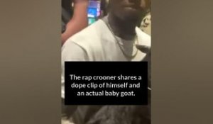 Tory Lanez Shows Off Waves + His Actual Baby Goat #shorts