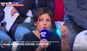 Sandrine Le Feur (Renaissance): "Des mesures fiscales et de trésorerie vont être annoncées et les mesures sur la simplification des normes vont être intégrées dans le projet de loi d'orientation agricole"