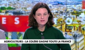 Eugénie Bastié : «Il y a un manque de cohérence des écologistes»