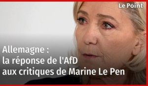 Allemagne : la réponse de l'AfD aux critiques de Marine Le Pen