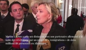 Allemagne : la réponse de l'AfD aux critiques de Marine Le Pen