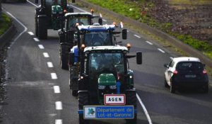 « Une question de survie » : partis d’Agen, ces agriculteurs veulent bloquer Rungis