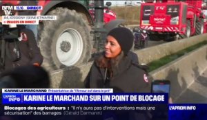 Karine Le Marchand apporte des croissants aux agriculteurs qui bloquent l'A4