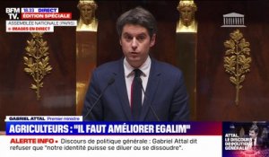 Gabriel Attal juge d'une "incohérence absolue" les votes des eurodéputés RN sur la PAC
