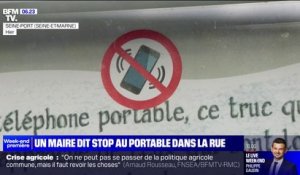Seine-et-Marne: un maire organise un référendum pour interdire le téléphone portable dans l'espace public
