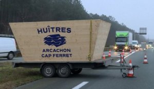 Huîtres du bassin d’Arcachon : des ostréiculteurs bloquent une autoroute près de Bordeaux