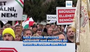 Colère des agriculteurs : encore des manifestations en Pologne, en Espagne et en Hongrie