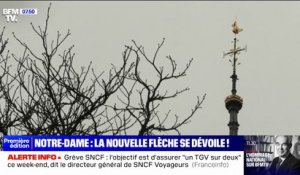 Notre-Dame de Paris: l'aiguille de la nouvelle flèche se dévoile enfin