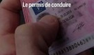 Le permis de conduire dématérialisé partout en France