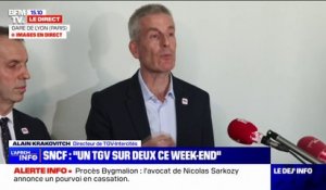 Grève SNCF: "L'ensemble des trains pour les Alpes assuré" déclare Alain Krakovitch, directeur de TGV-Intercités