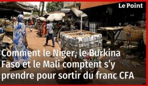 Comment le Niger, le Burkina Faso et le Mali comptent s’y prendre pour sortir du franc CFA