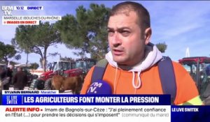 Colère des agriculteurs: un convoi des Bouches-du-Rhône manifeste à Marseille