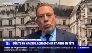 Marc Gricourt (maire PS de Blois): "Nous avons dans ce territoire la réalité de l'augmentation des vols avec violences, des cambriolages et des dépôts de plainte sur les violences intrafamiliales"