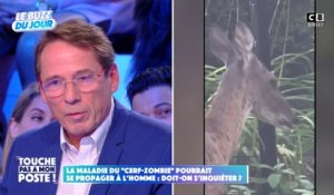 La maladie du "cerf-zombie" pourrait se propager à l'homme : Doit-on s'inquiéter ?