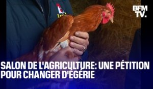 Poule, cochon, mouton...une pétition appelle à détrôner la vache de sa place d'égérie du Salon de l'agriculture