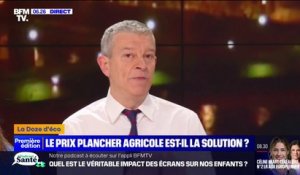 Agriculture: le prix plancher est-il la meilleure solution pour garantir un revenu fixe aux exploitants agricoles?