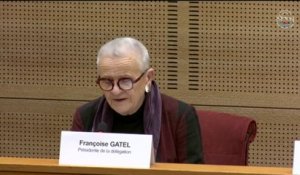 "Au moins 2/3 des communes sont concernées par au moins un risque naturel" selon Françoise Gatel