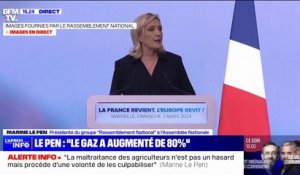 Marine Le Pen: "La France a réalisé son plan énergétique dès les années 70 avec le plan Messmer sur le nucléaire"
