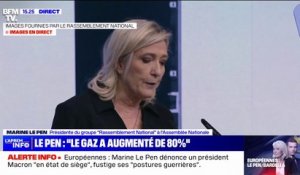 Européennes: Marine Le Pen appelle à un "redressement national"