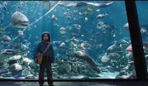 Aquaman (2018) - Bande annonce