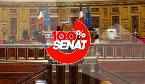 100% Sénat - Nouvelles approches du développement : Esther Duflo auditionnée