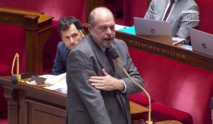 "C'est vous qui l'avez inventée": Éric Dupond-Moretti répond au député RN Julien Odoul, qui l'accuse d'avoir fait une quenelle à l'Assemblée