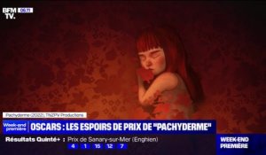 Oscars: les espoirs de prix du court-métrage d'animation français "Pachyderme"
