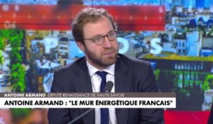 Antoine Armand : «La diffusion extrêmement puissante du discours de l’écologie politique a porté un discours décroissant»