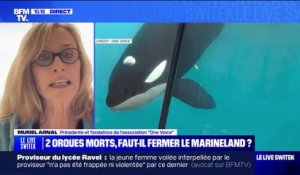Orques mortes à Marineland: la présidente de "One Voice" propose "une solution de sanctuaire" pour les animaux du parc