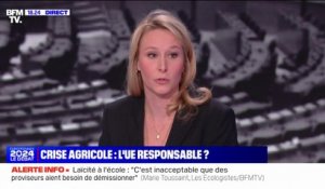 Agriculture: "Il ne peut pas y avoir d'interdiction de produits phytosanitaires sans solution", affirme Marion Maréchal (Reconquête)
